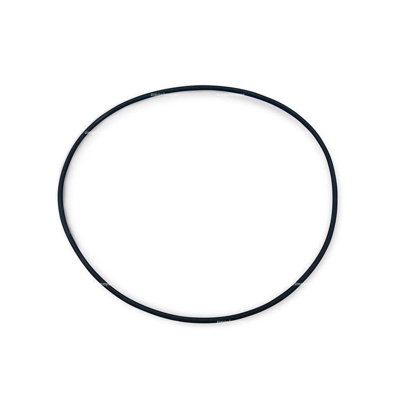 Inspektionsluge O-ring